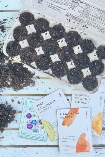 Earth Day Project