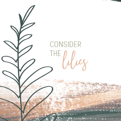 Consider the Lilies: A Simple Ministry of the Home & Soul