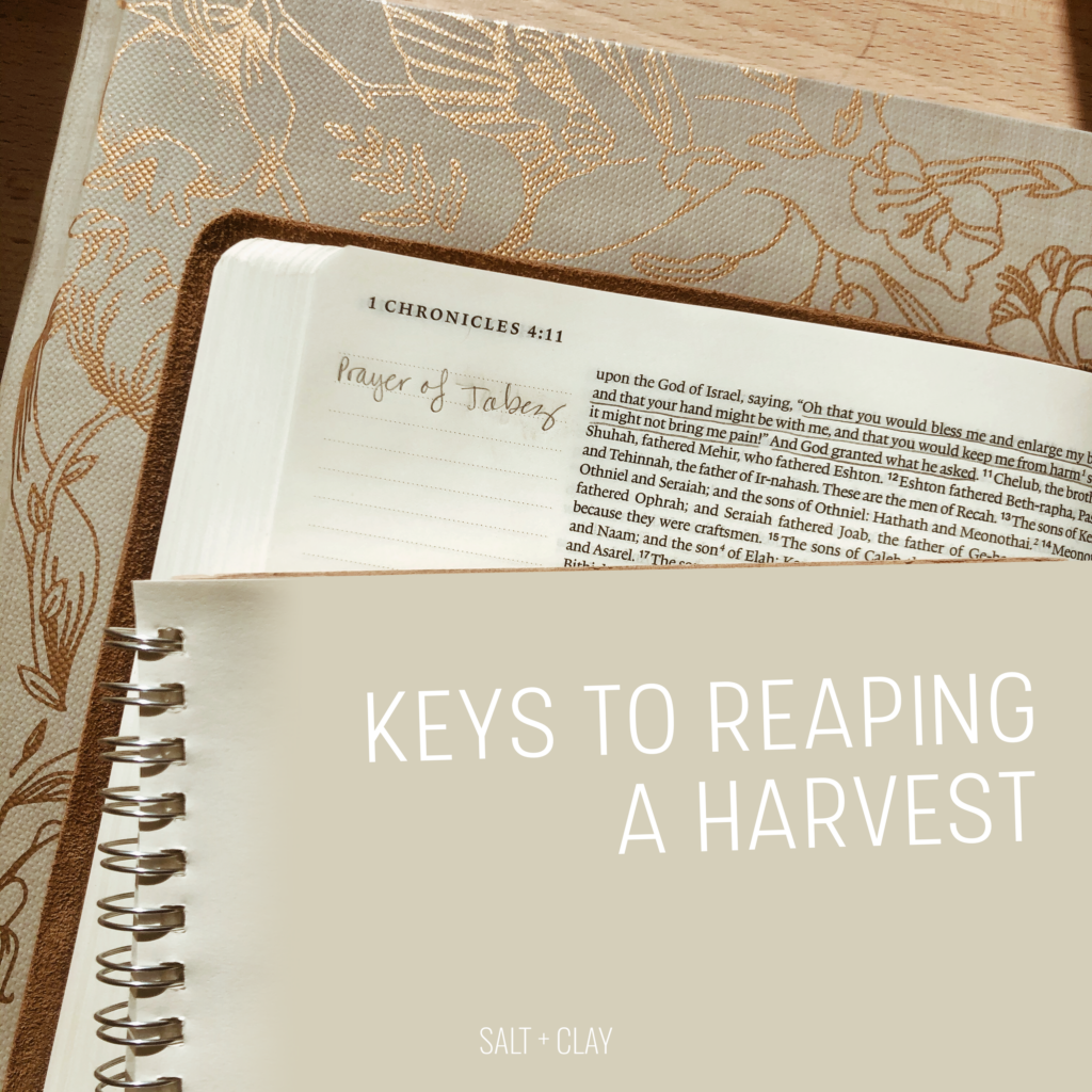 Reaping A Harvest