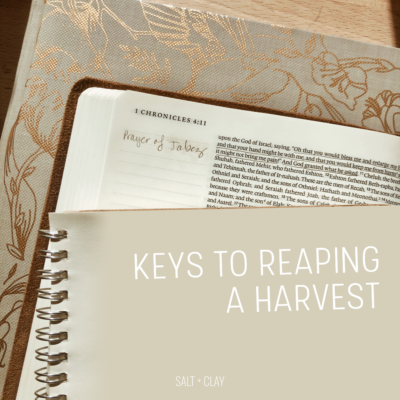 Keys to Reaping a Harvest