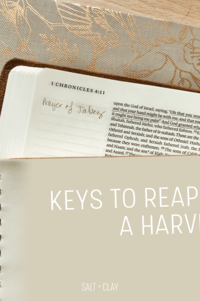 Reaping A Harvest