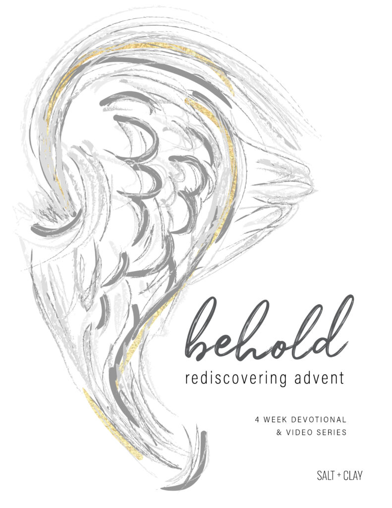 Behold Advent Devotional Cover
